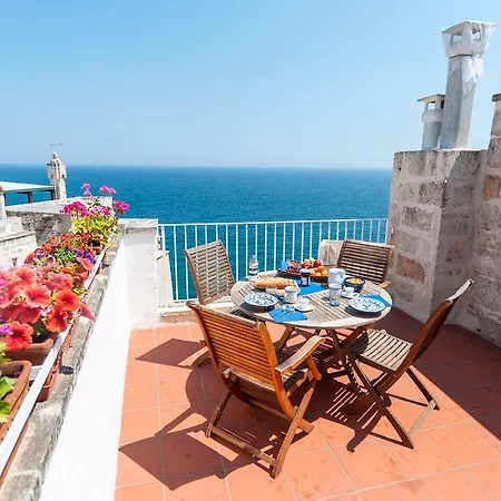 Helloapulia *